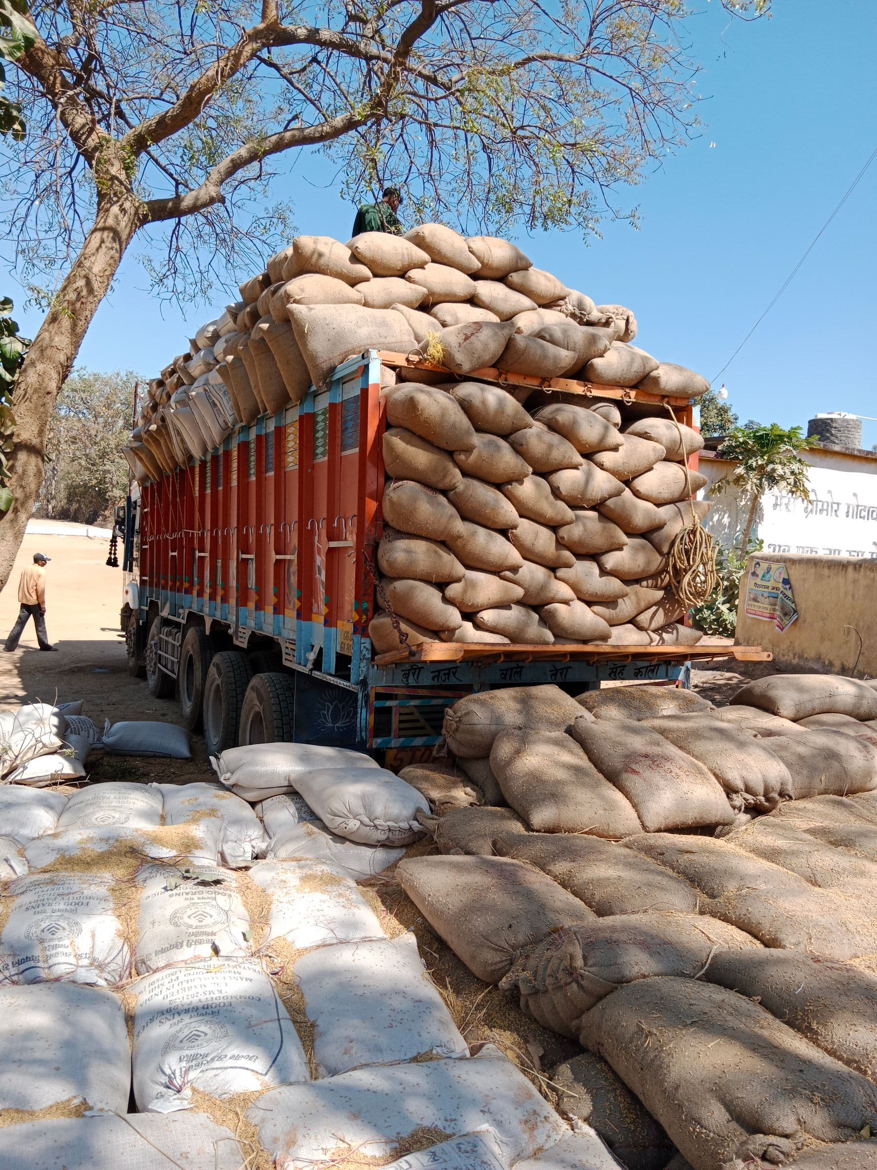 Loaded truck carrying stacked export sacks in India ahead of container stuffing
