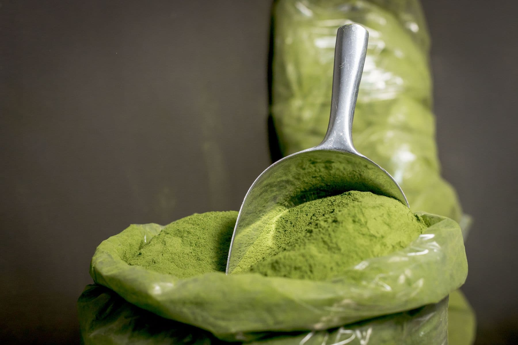 Bright green moringa leaf powder with fresh Moringa oleifera leaves for export