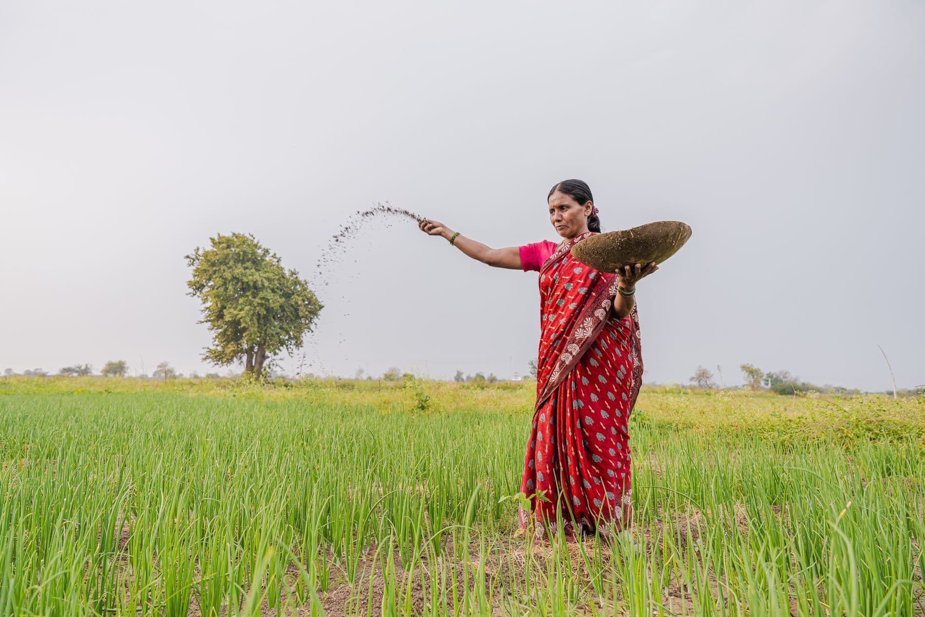 Farmer working a field in India, representing the raw material sourcing base